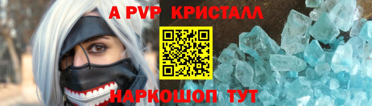 Alfa_PVP СК Кингисепп