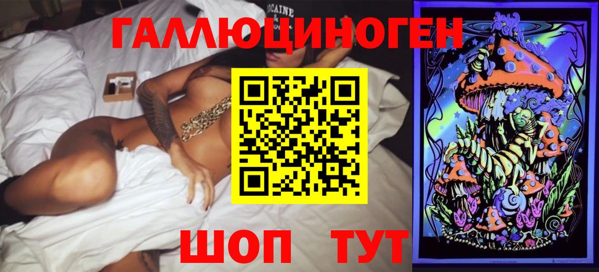 Кингисепп  Псилоцибиновые грибы Psilocybine cubensis  Вход с VPN 