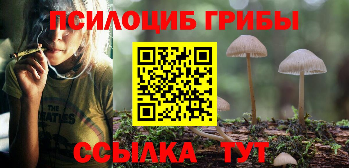 Галлюциногенные грибы прущие грибы Кингисепп